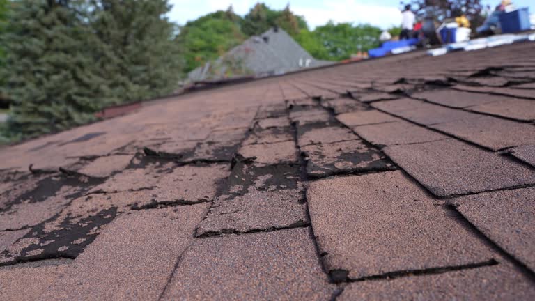 Best Cold Roofs  in Pinconning, MI