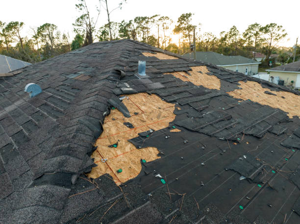 Best Metal Roofing Installation  in Pinconning, MI