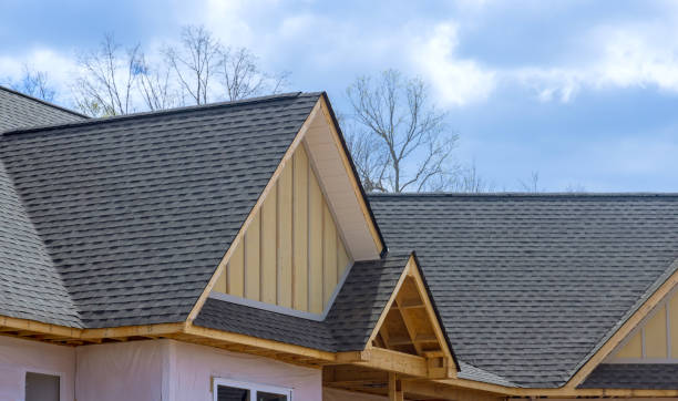 Best Solar Panel Roofing Installation  in Pinconning, MI