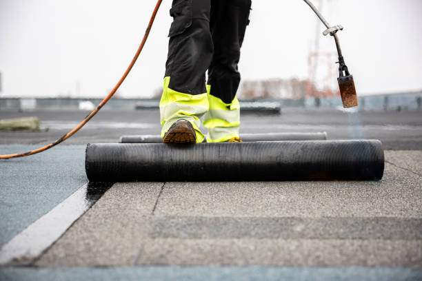 Best Roof Moss and Algae Removal  in Pinconning, MI