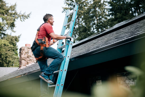 Best Sheet Metal Roofing  in Pinconning, MI